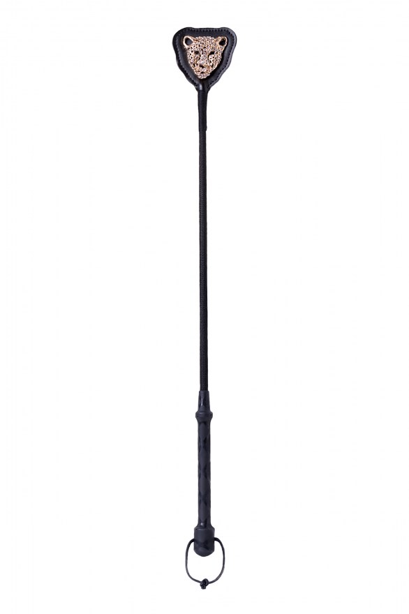 189e47be-05c7-11e5-9405-10c37b5042fa_8b38ba7d-04e3-11ed-8a8a-00155d641700