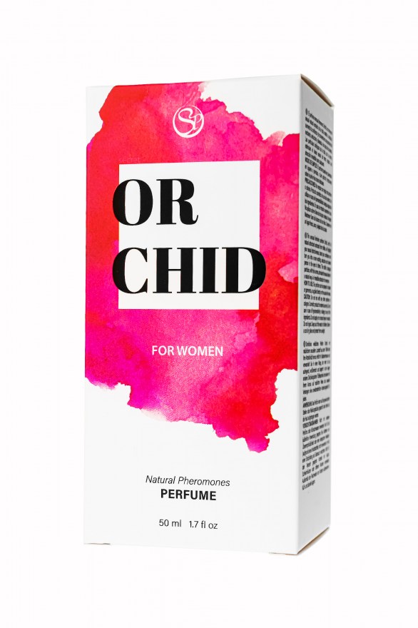 41788260-a299-11ef-8aad-00155d020c00_4833002c-a299-11ef-8aad-00155d020c00