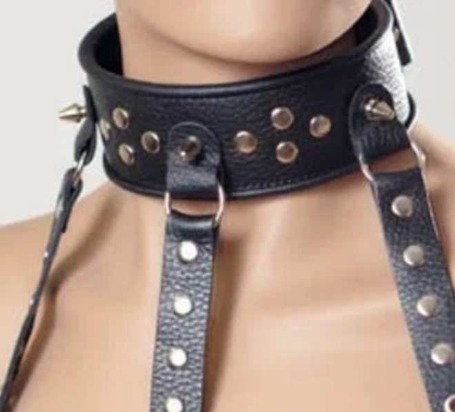 daacbb78-c003-11e1-9ed0-001bfcabd45b_8c22be36-8655-11f0-8aad-00155d020c00