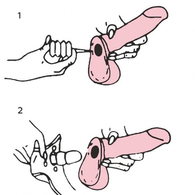 e131256e-4264-11ee-8aaa-00155d020c00_f3308898-4264-11ee-8aaa-00155d020c00