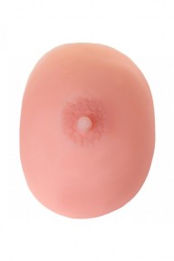 protezmolochnoyzhelezyab
